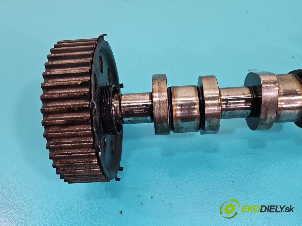 Audi A4 B7 2004-2008 1.9 tdi 116 HP manual 85 kW 1896 cm3 5- Valček: načasovanie 038109111E (Vačkový hriadeľ)