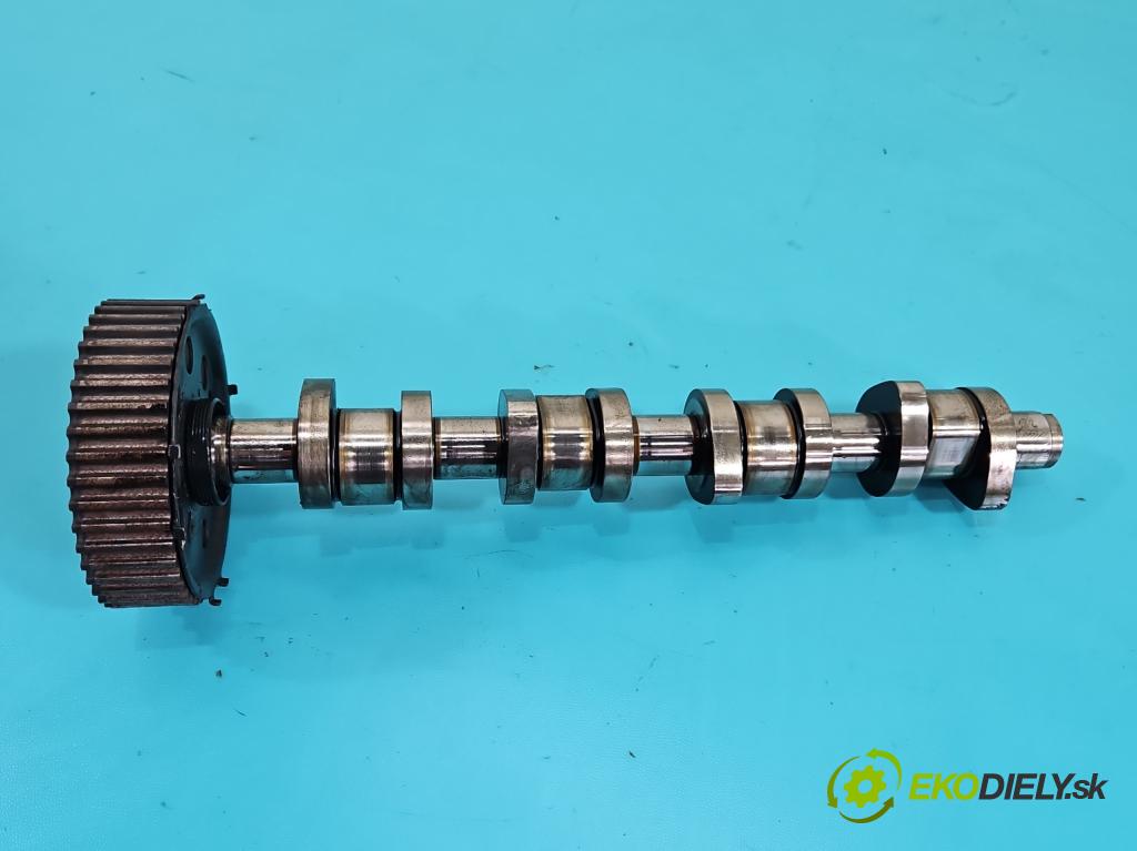 Audi A4 B7 2004-2008 1.9 tdi 116 HP manual 85 kW 1896 cm3 5- Valček: načasovanie 038109111E (Vačkový hriadeľ)