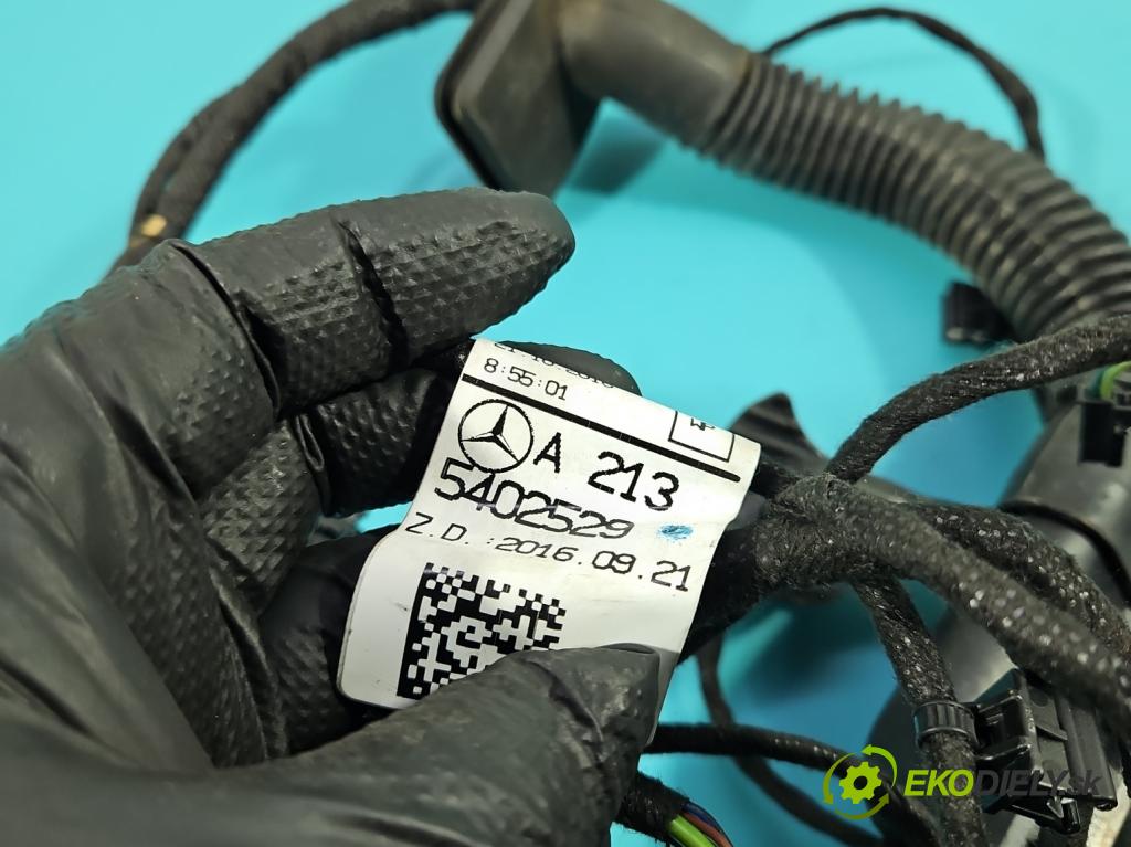 Mercedes E W213 2016-2023 2.0 CDI 194KM: automatic 143 kW 1950 cm3 5- Zväzok: dvere predné pravých A2135402529