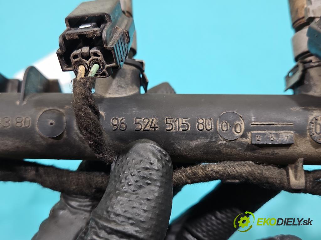 Citroen C4 I 2004-2011 1.4 16V 88 HP manual 65 kW 1360 cm3 5- vstrek 9652451580 (Vstrekovač paliva)