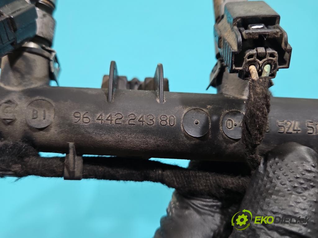 Citroen C4 I 2004-2011 1.4 16V 88 HP manual 65 kW 1360 cm3 5- vstrek 9652451580 (Vstrekovač paliva)