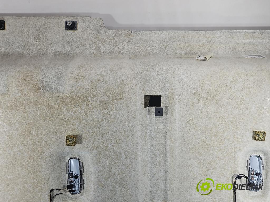 Ford Transit Connect II MK2 2012-2022 Poškodenie: viditelný: na