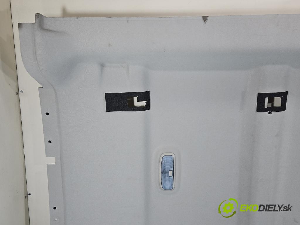 Ford Transit Connect II MK2 2012-2022 Poškodenie: viditelný: na