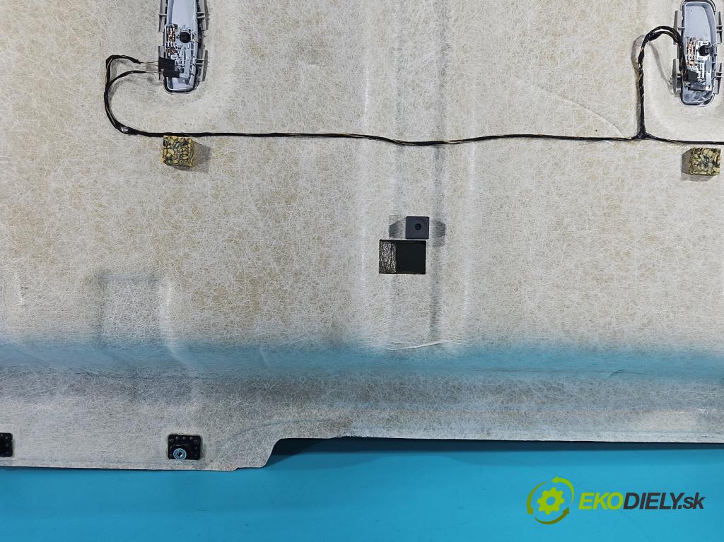 Ford Transit Connect II MK2 2012-2022 Poškodenie: viditelný: na