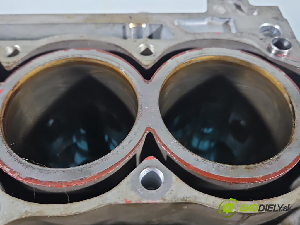 Skoda Fabia III 2014- 2021 1.2 TSI 90 HP manual 66 kW 1197 cm3 5- Blok motora CJZ (Blok motora)