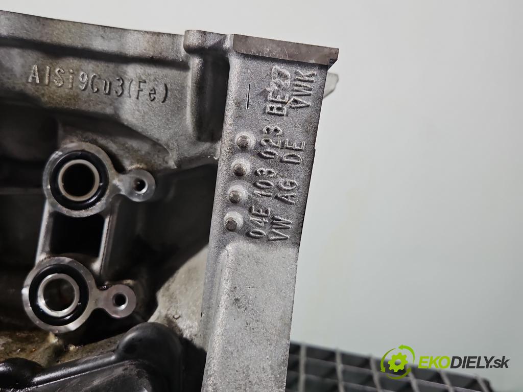 Skoda Fabia III 2014- 2021 1.2 TSI 90 HP manual 66 kW 1197 cm3 5- Blok motora CJZ (Blok motora)