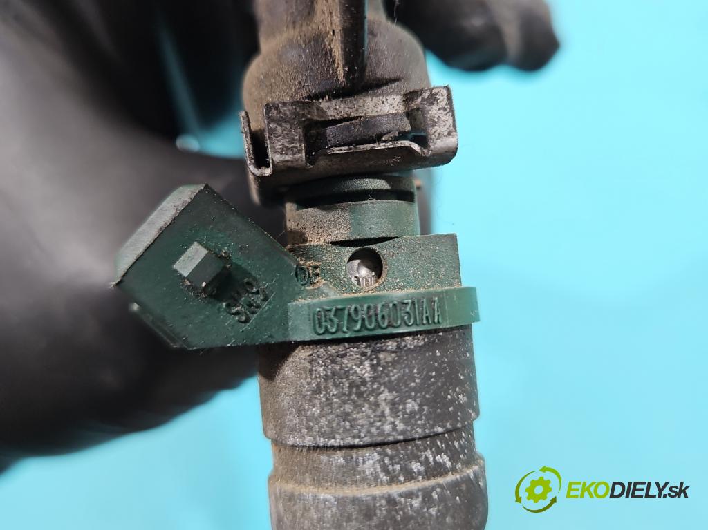 Vw Golf IV 1997-2003 1.6 SR 101 HP manual 74 kW 1595 cm3 3- vstrek 06A133317A (Vstrekovač paliva)