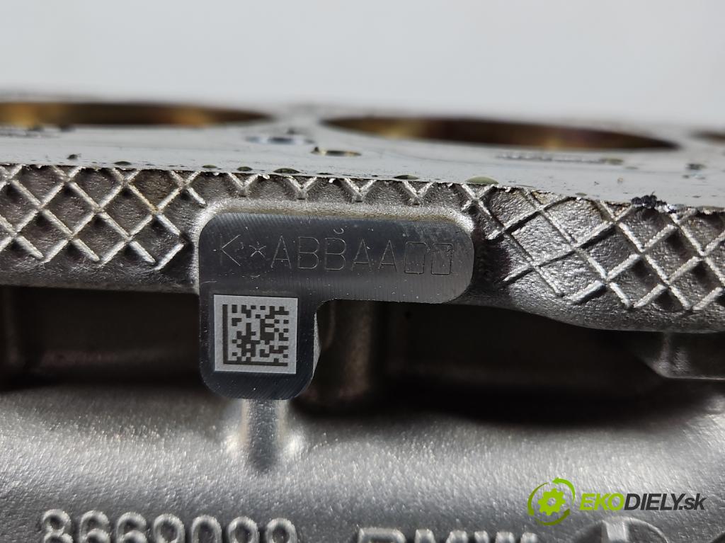 Bmw 3 G20 2018- 2.0 T 184hp automatic 135 kW 1998 cm3 4- Blok motora 8669099 (Blok motora)