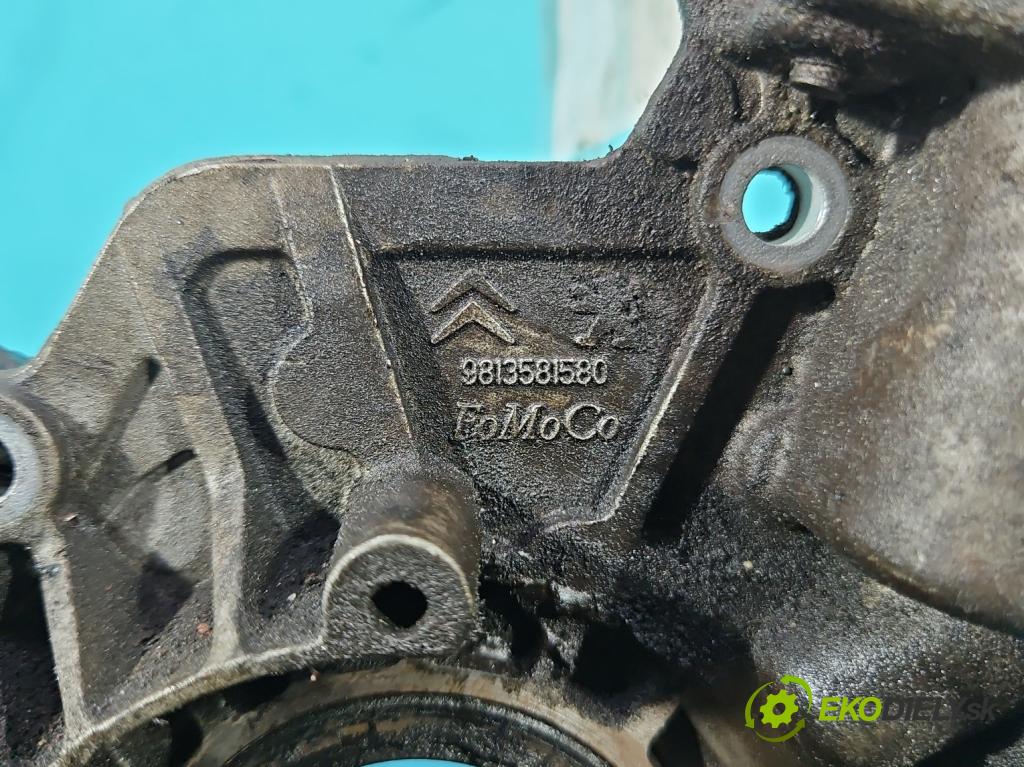 Ford Transit Connect II 2012-2022 1.5 tdci 120 HP manual 88.2 kW 1499 cm3 5- čerpadlo oleja: 9813581580 (Olejová pumpa)