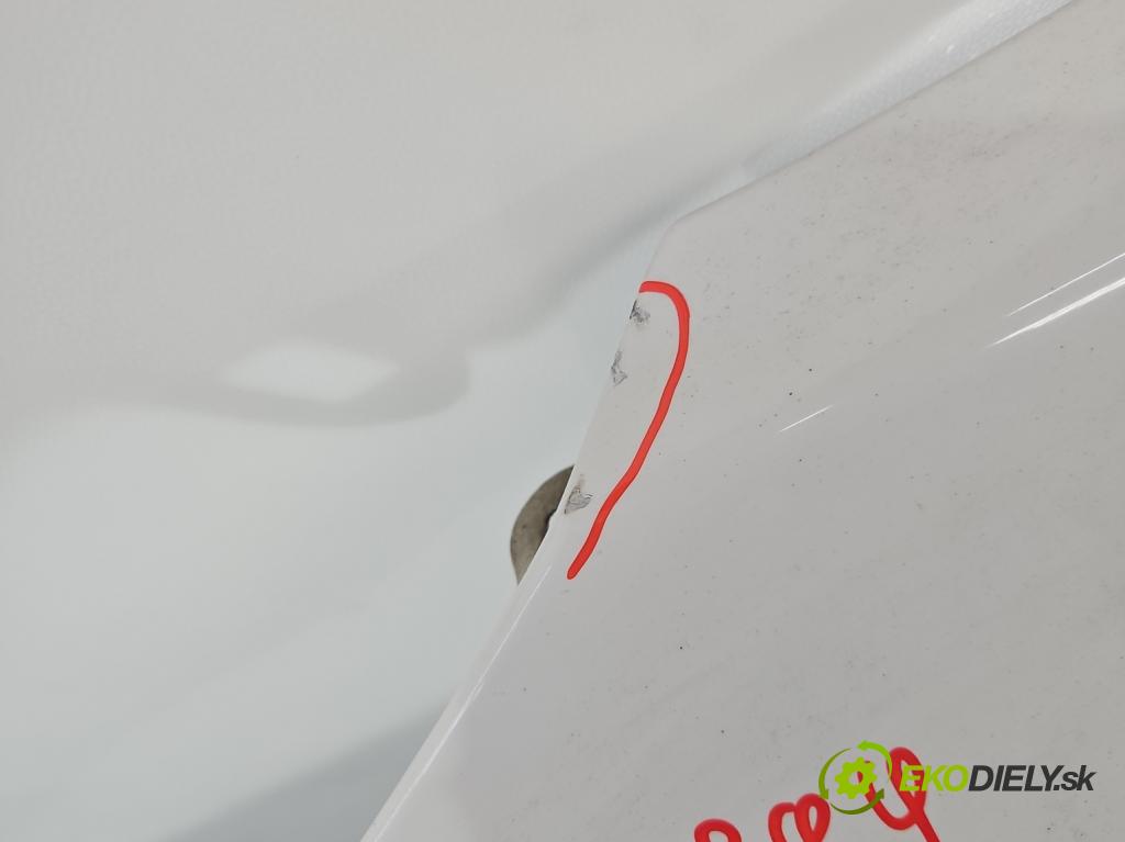 Bmw X1 E84 2009-2015 2.0d 143 hp automatic 105 kW 1995 cm3 5- blatnik přední levý  (Levý přední blatník)