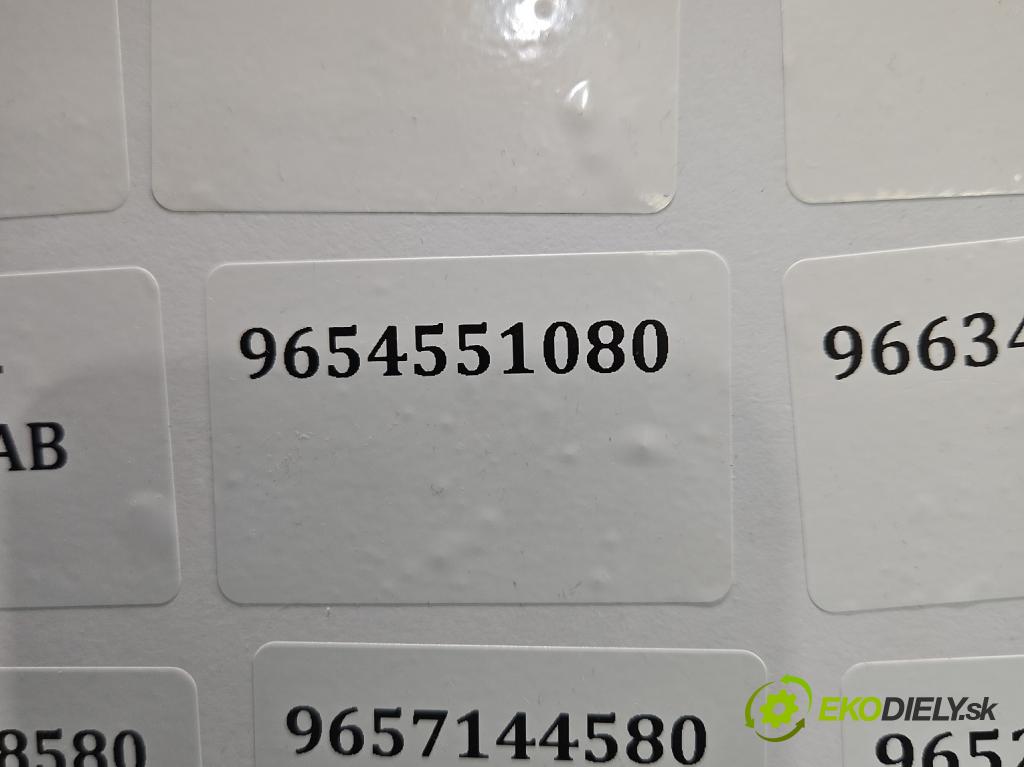 Ford Fiesta Mk6 2002-2008 1.4 tdci 68 hp manual 50 kW 1399 cm3 5- vstřikovač 9654551080 (Vstřikovač paliva)