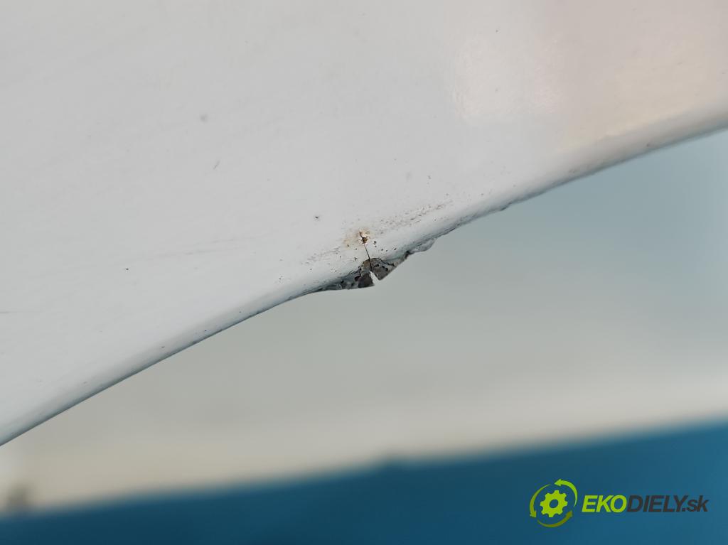 Peugeot 207 1.4 hdi 68 hp manual 50 kW 1398 cm3 3- blatnik přední levý  (Levý přední blatník)