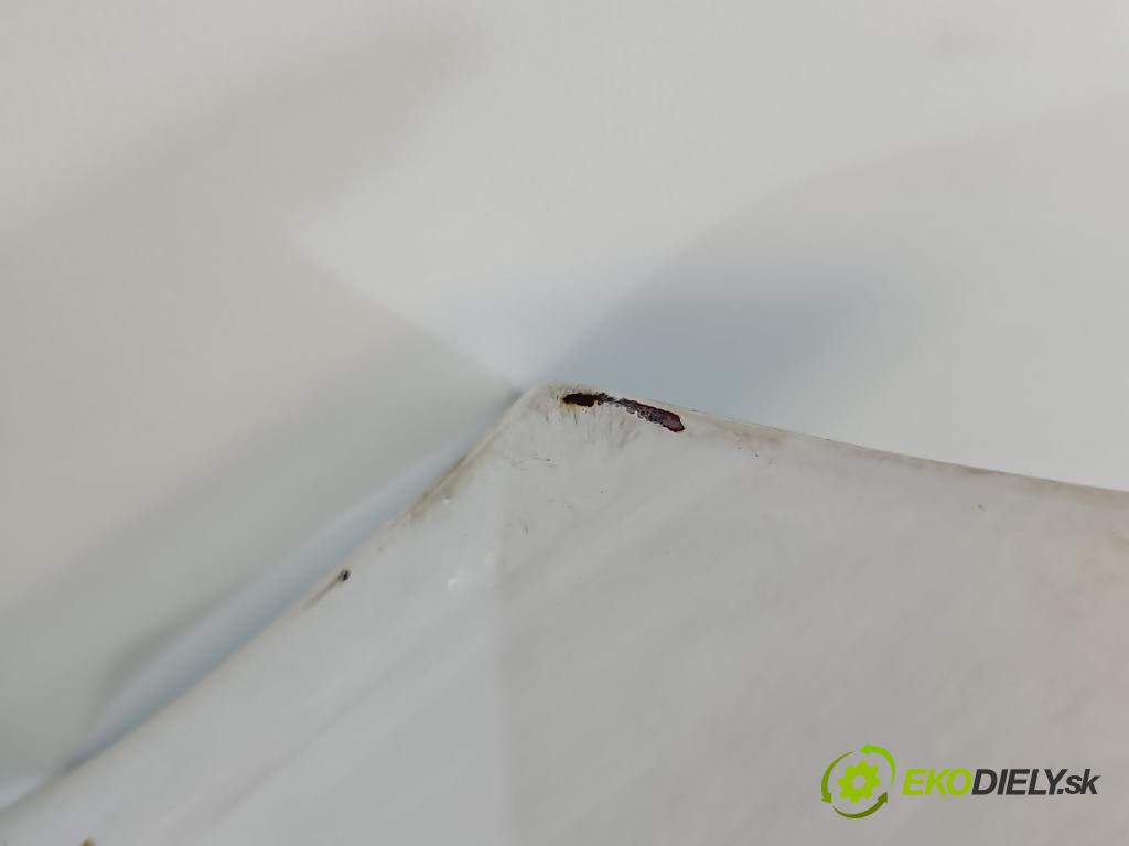 Peugeot 207 1.4 hdi 68 hp manual 50 kW 1398 cm3 3- blatnik přední levý  (Levý přední blatník)