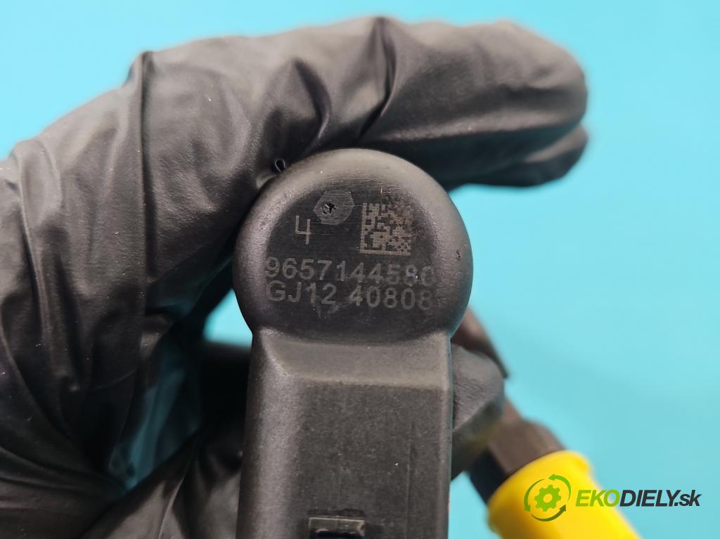 Peugeot 407 2.0 hdi 136 HP manual 100 kW 1997 cm3 5- vstrek 9657144580 (Vstrekovač paliva)