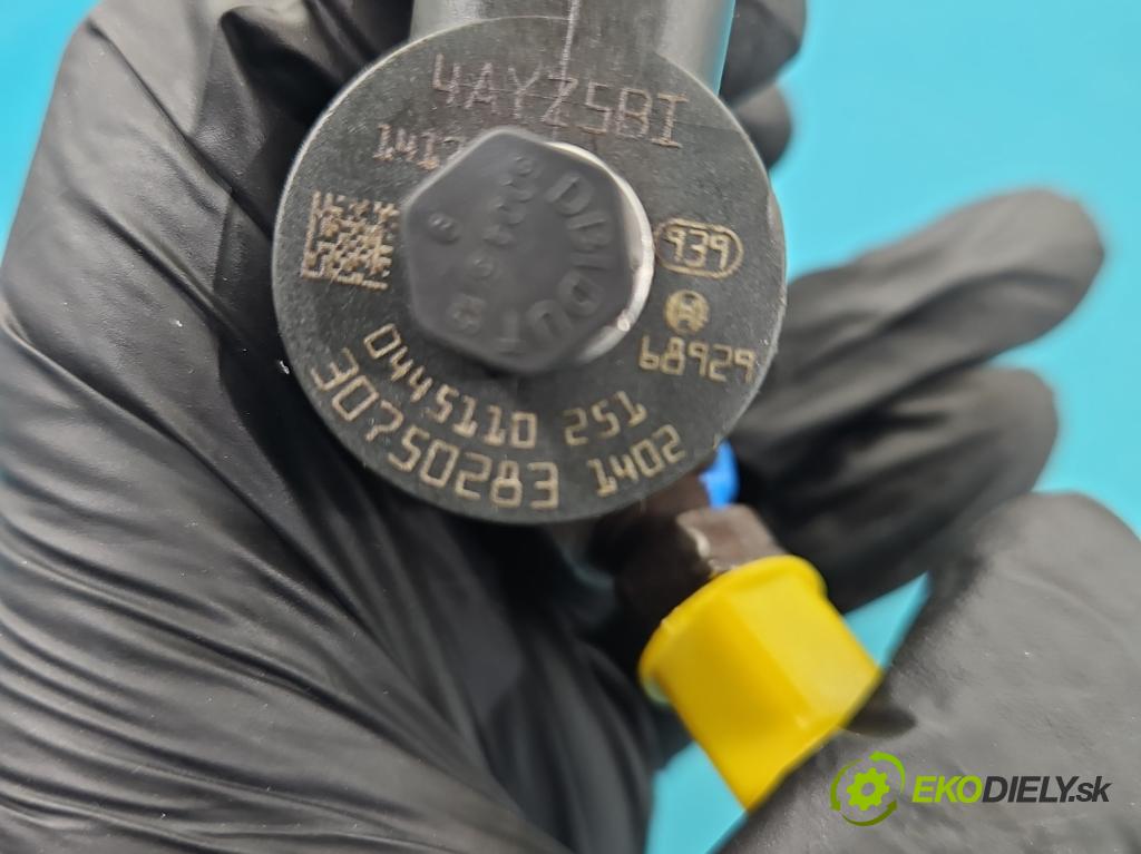 Volvo S80 II 2006-2016 2.4 D5 185 HP automatic 136 kW 2400 cm3 4- vstrek 0445110251 (Vstrekovač paliva)