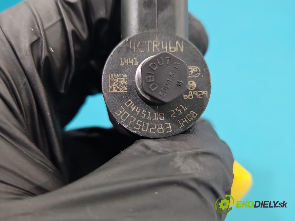 Volvo S80 II 2006-2016 2.4 D5 185 HP automatic 136 kW 2400 cm3 4- vstrek 0445110251 (Vstrekovač paliva)