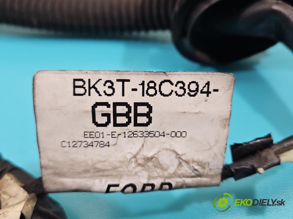 Ford Transit Mk8 2013-2017 2.2 tdci 101 HP manual 74 kW 2198 cm3 5- Zväzok: dvere zadné vľavo: BK3T-18C394-GBB