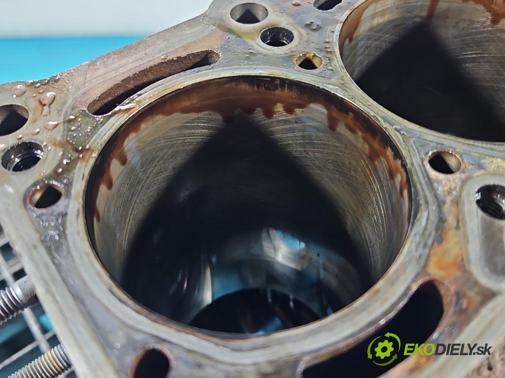 Fiat Doblo II 2010- 1.4 120 HP manual 88 kW 1368 cm3 5- Blok motora 198A4000 (Blok motora)