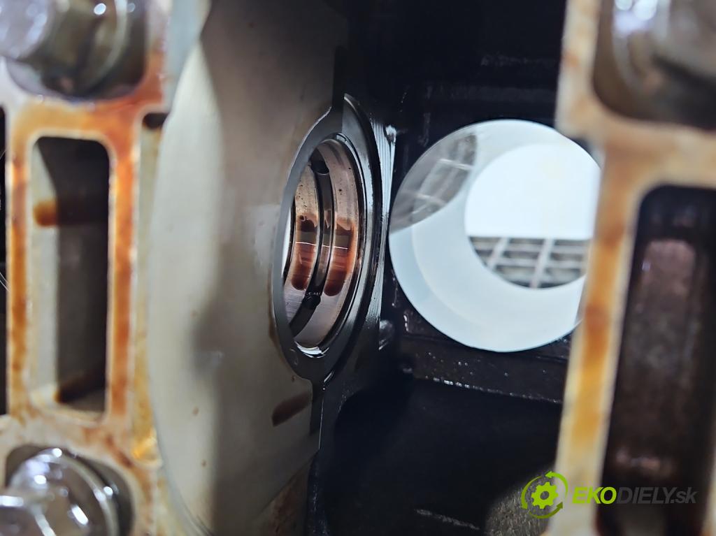 Fiat Doblo II 2010- 1.4 120 HP manual 88 kW 1368 cm3 5- Blok motora 198A4000 (Blok motora)