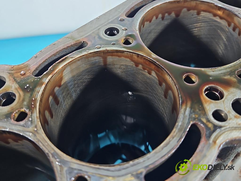 Fiat Doblo II 2010- 1.4 120 HP manual 88 kW 1368 cm3 5- Blok motora 198A4000 (Blok motora)