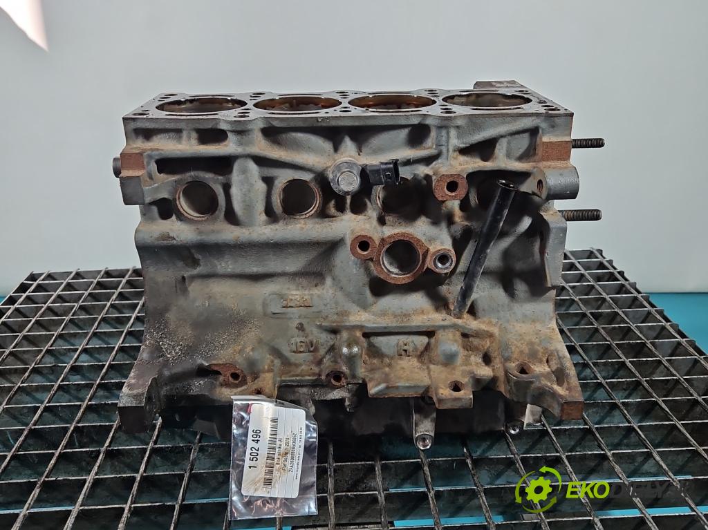 Fiat Doblo II 2010- 1.4 120 HP manual 88 kW 1368 cm3 5- Blok motora 198A4000 (Blok motora)