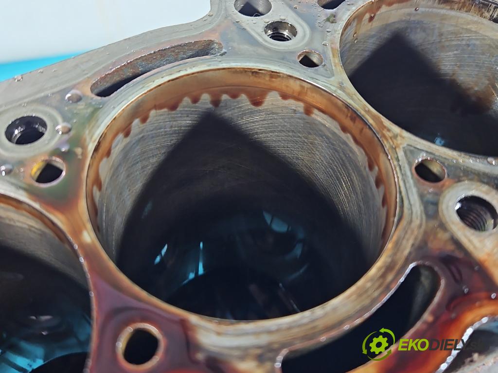 Fiat Doblo II 2010- 1.4 120 HP manual 88 kW 1368 cm3 5- Blok motora 198A4000 (Blok motora)