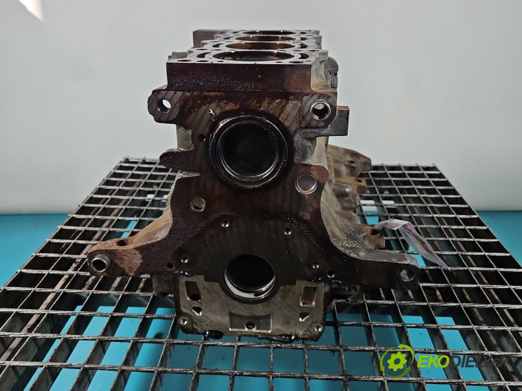 Fiat Doblo II 2010- 1.4 120 HP manual 88 kW 1368 cm3 5- Blok motora 198A4000 (Blok motora)