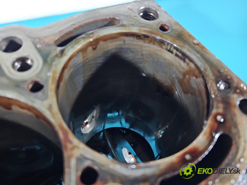 Fiat Doblo II 2010- 1.4 120 HP manual 88 kW 1368 cm3 5- Blok motora 198A4000 (Blok motora)