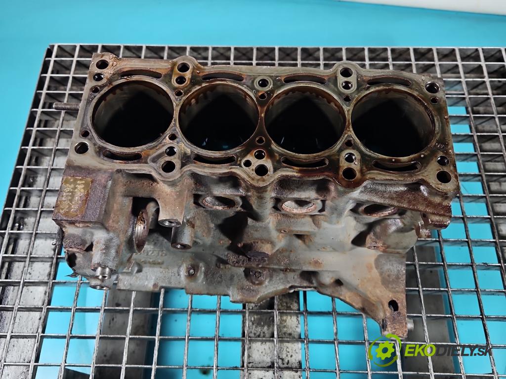 Fiat Doblo II 2010- 1.4 120 HP manual 88 kW 1368 cm3 5- Blok motora 198A4000 (Blok motora)