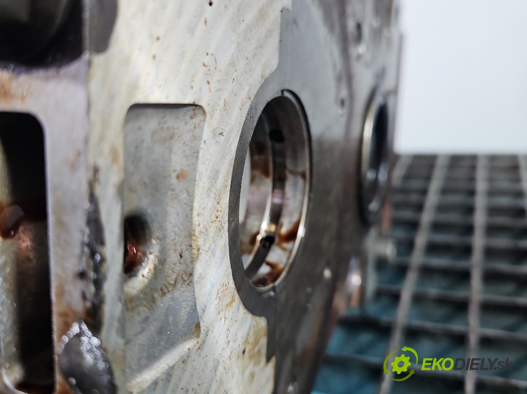 Fiat Doblo II 2010- 1.4 120 HP manual 88 kW 1368 cm3 5- Blok motora 198A4000 (Blok motora)