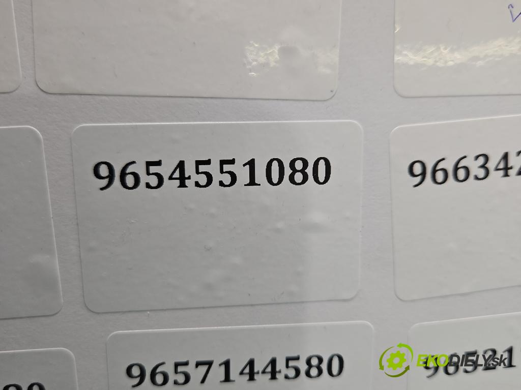 Ford Fiesta Mk6 2002-2008 1.4 tdci 68 HP manual 50 kW 1399 cm3 5- vstrek 9654551080 (Vstrekovač paliva)