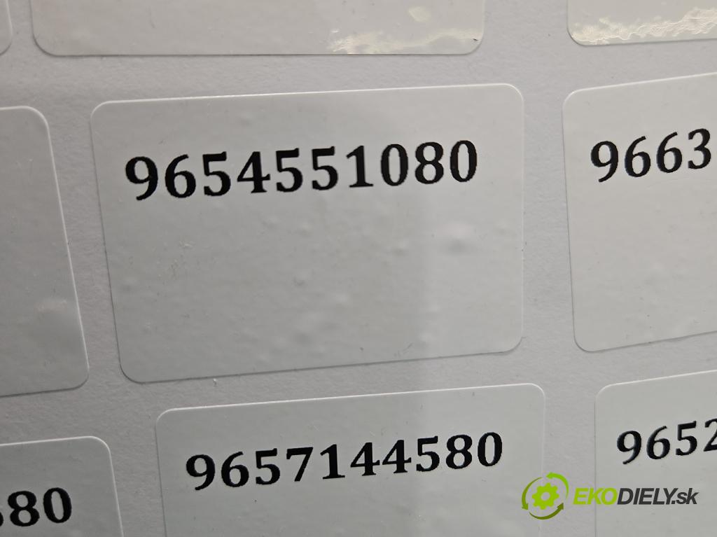 Ford Fiesta Mk6 2002-2008 1.4 tdci 68 HP manual 50 kW 1399 cm3 5- vstrek 9654551080 (Vstrekovač paliva)