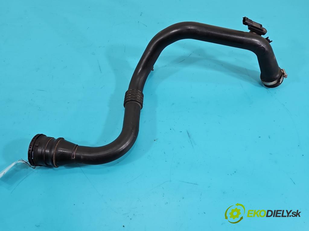 Renault Scenic III 2009-2016 1.5 dci 106 hp manual 78 kW 1461 cm3 5- Trubka: 8200981497