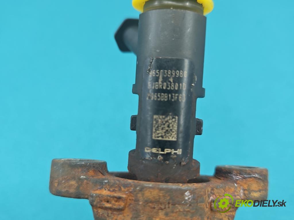 Citroen C5 II 2008-2017 2.0 hdi 136 HP manual 100 kW 1997 cm3 5- vstrek EJBR03801D (Vstrekovač paliva)