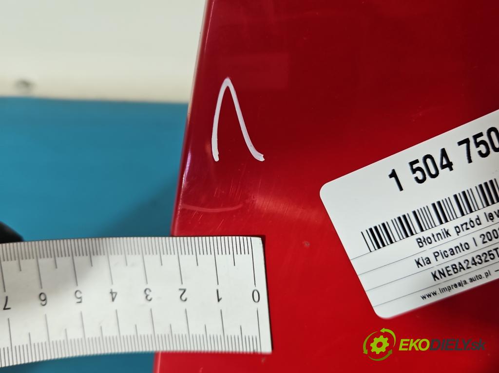 Kia Picanto I 2003-2011 1.1 65 hp manual 48 kW 1086 cm3 5- blatnik přední levý  (Levý přední blatník)