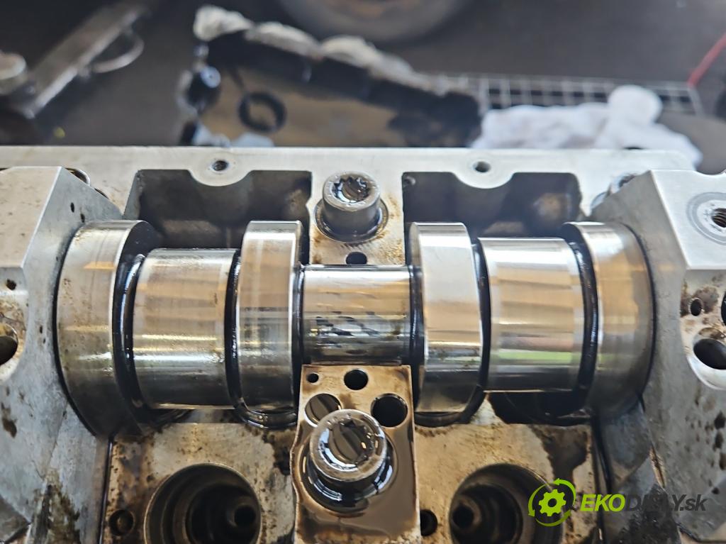 Vw Golf V 2003-2009 1.9 tdi 105 HP manual 77 kW 1896 cm3 5- motor diesla BKC