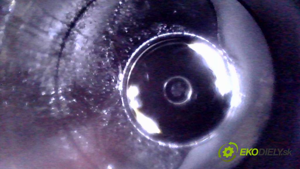 Vw Golf V 2003-2009 1.9 tdi 105 HP manual 77 kW 1896 cm3 5- motor diesla BKC