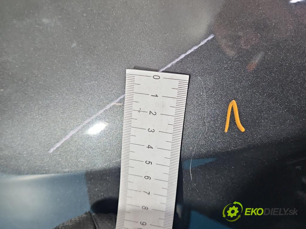 Lancia Delta III 2008-2014 1.4 T 120 hp manual 88 kW 1368 cm3 5- blatnik přední levý  (Levý přední blatník)