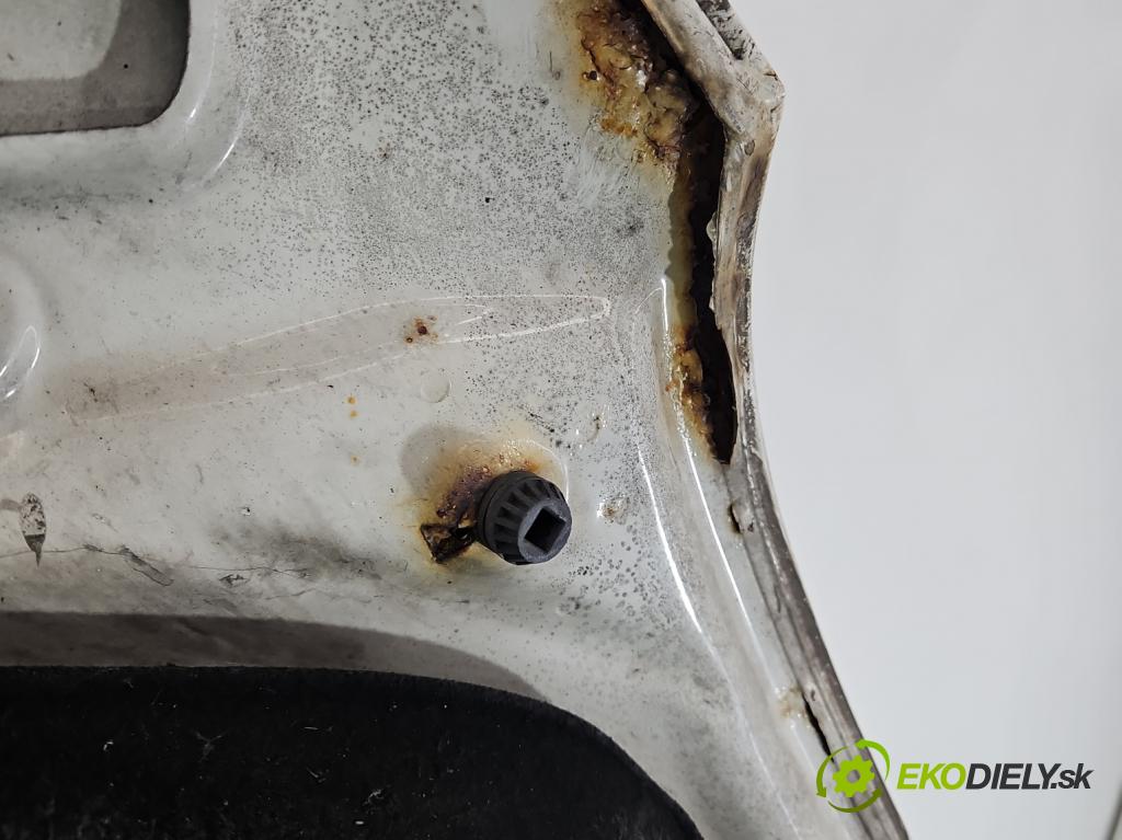 Vw Crafter 2006-2016 2.5 tdi 136 HP manual 100 kW 2461 cm3 4- kapota predná