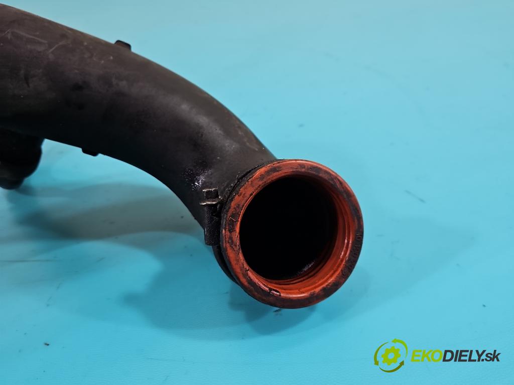 Vw Crafter 2006-2016 2.5 tdi 136hp manual 100 kW 2461 cm3 4- Trubka: 1016172S041024