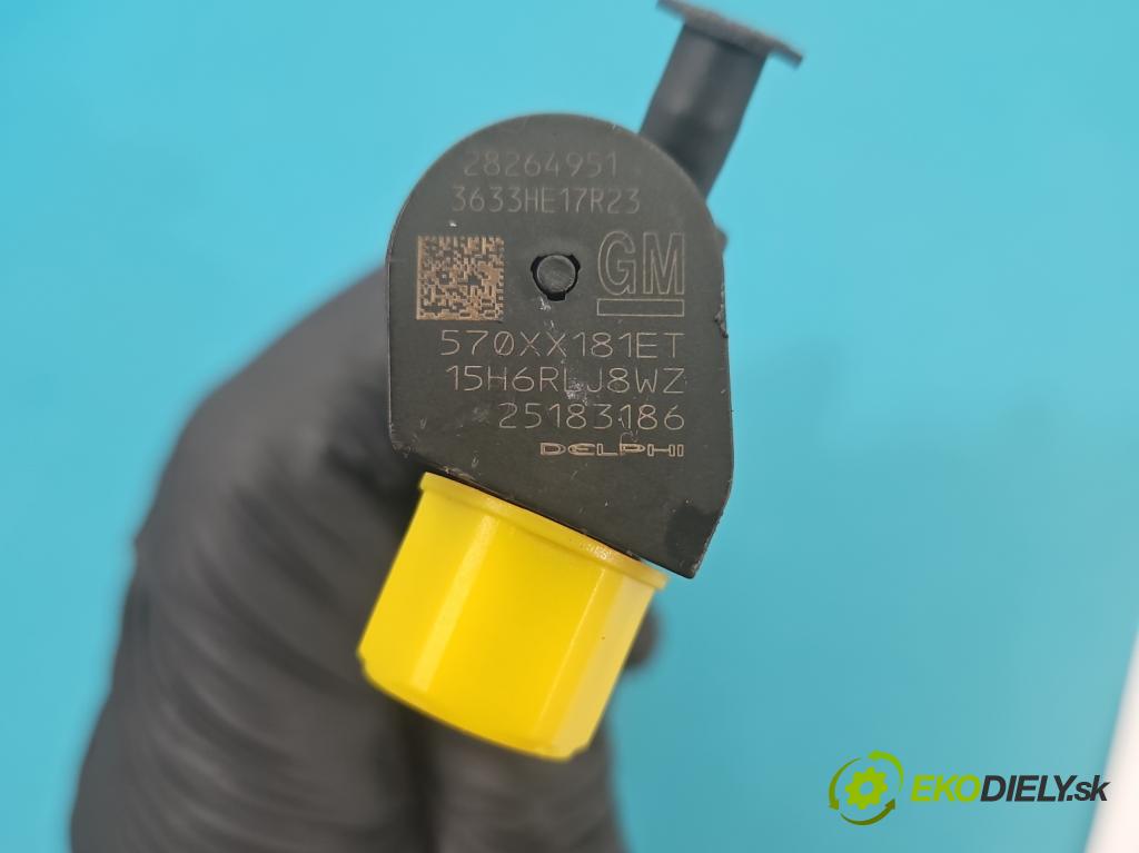 Chevrolet Captiva 2.2 VCDI 184 hp automatic 135 kW 2231 cm3 5- vstřikovač 28264951 (Vstřikovač paliva)