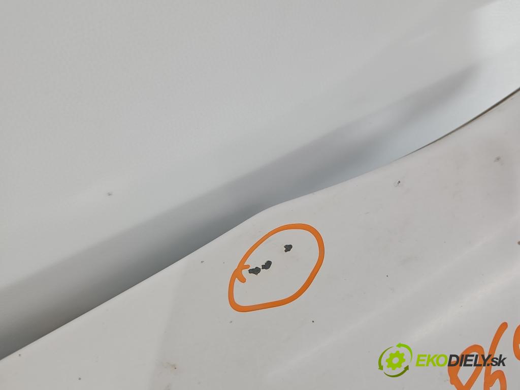 Peugeot Partner II 2008-2018 1.6 hdi 90 hp manual 66 kW 1560 cm3 5- blatnik přední levý  (Levý přední blatník)