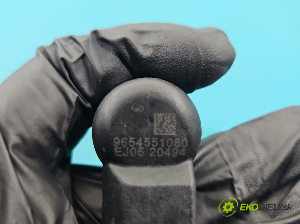 Ford Fiesta Mk6 2002-2008 1.4 tdci 68 HP manual 50 kW 1399 cm3 5- vstrek 9654551080 (Vstrekovač paliva)