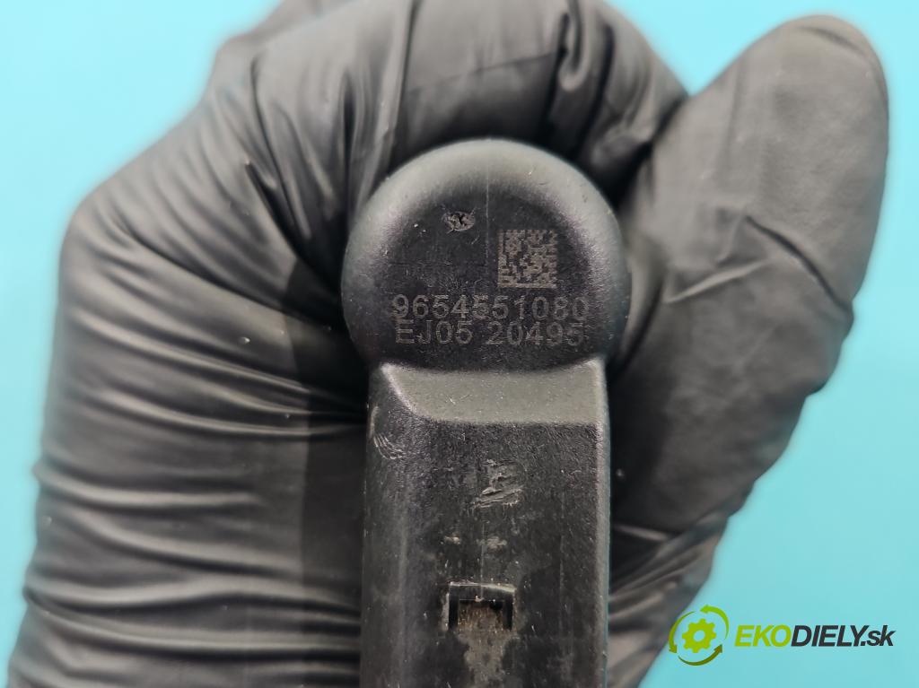 Ford Fiesta Mk6 2002-2008 1.4 tdci 68 HP manual 50 kW 1399 cm3 5- vstrek 9654551080 (Vstrekovač paliva)