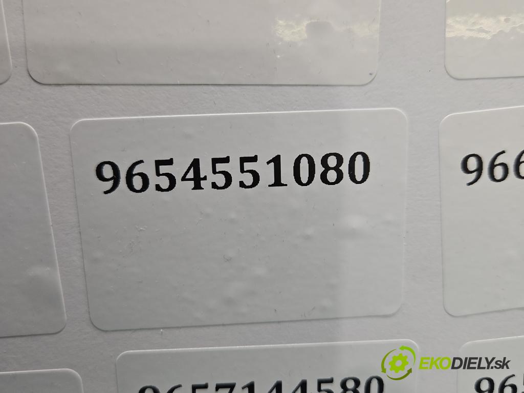 Ford Fiesta Mk6 2002-2008 1.4 tdci 68 HP manual 50 kW 1399 cm3 5- vstrek 9654551080 (Vstrekovač paliva)