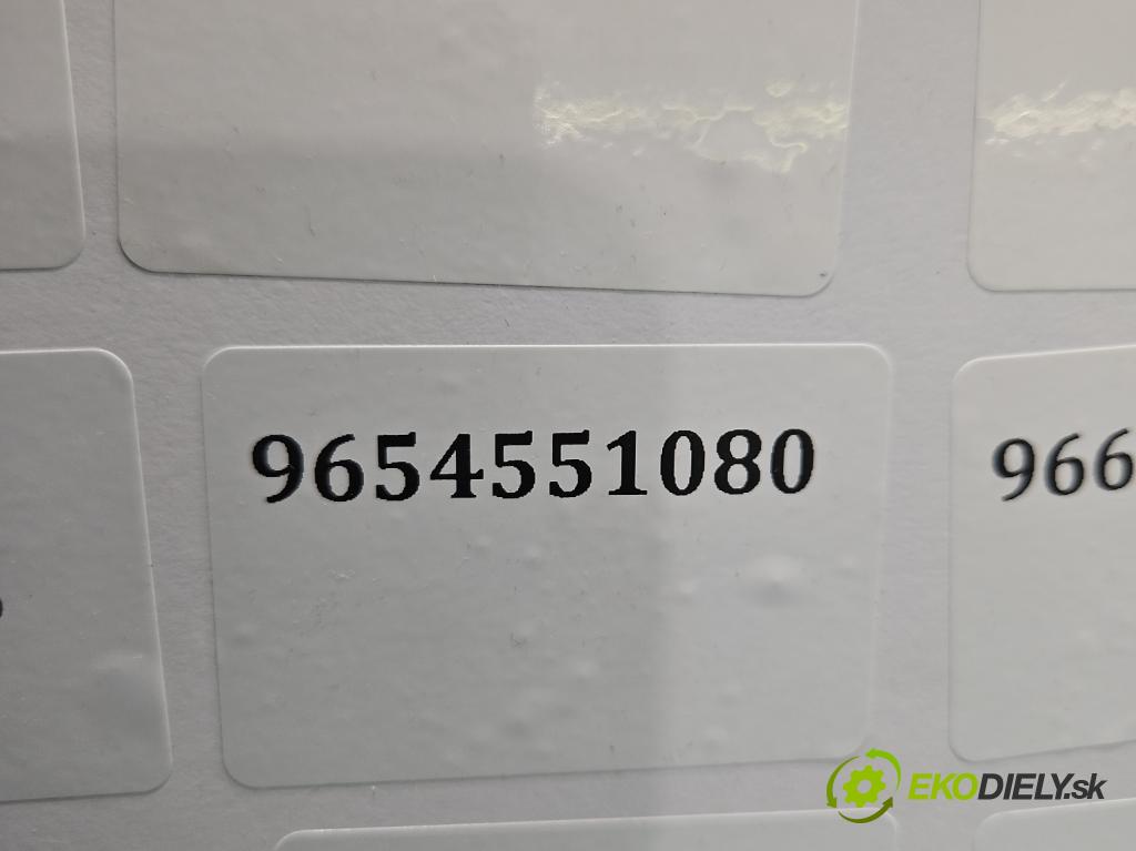 Ford Fiesta Mk6 2002-2008 1.4 tdci 68 HP manual 50 kW 1399 cm3 5- vstrek 9654551080 (Vstrekovač paliva)