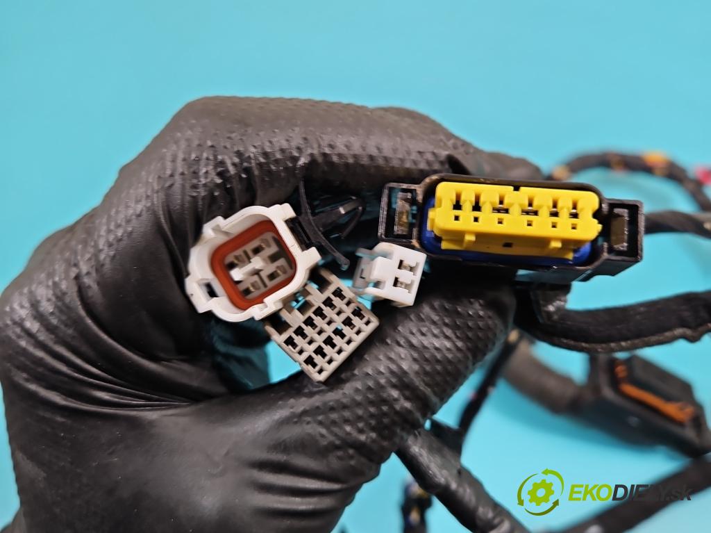 Kia Rio IV 2016-2023 1.2 16V 84KM manual 61.8 kW 1197 cm3 5- Zväzok: dvere predné vľavo: 91605-H8660