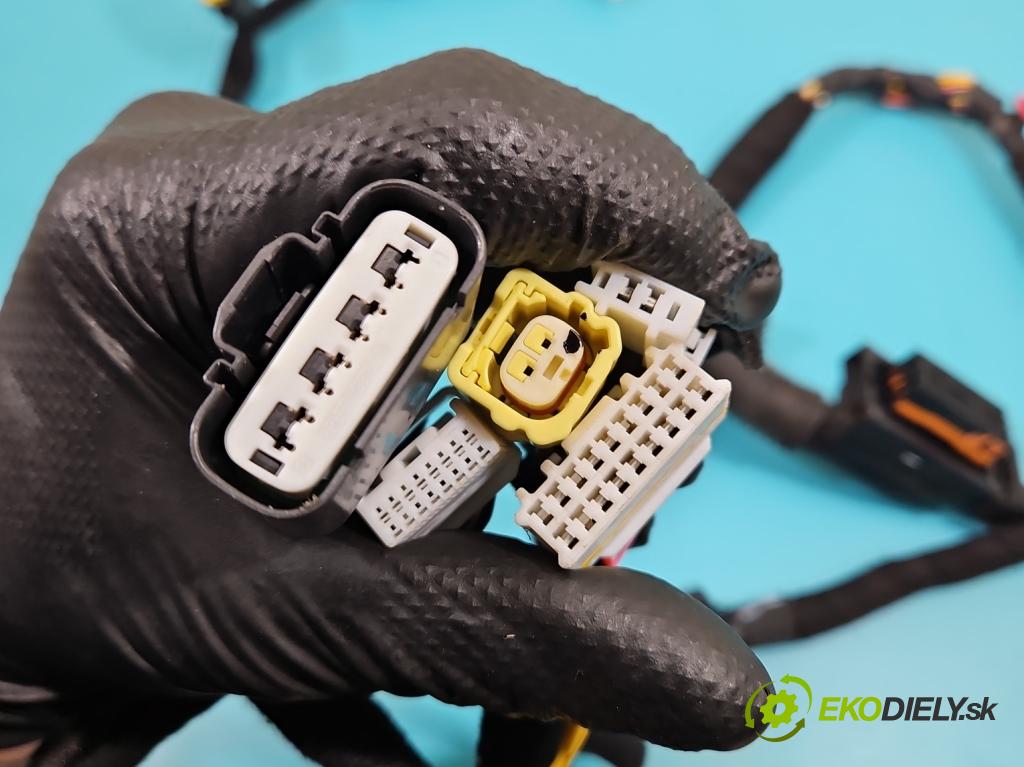 Kia Rio IV 2016-2023 1.2 16V 84KM manual 61.8 kW 1197 cm3 5- Zväzok: dvere predné vľavo: 91605-H8660