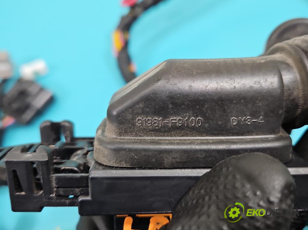 Kia Rio IV 2016-2023 1.2 16V 84KM manual 61.8 kW 1197 cm3 5- Zväzok: dvere predné vľavo: 91605-H8660