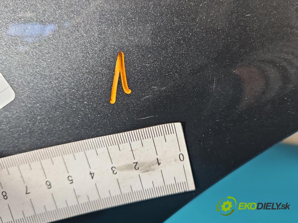 Citroen C4 II 2010-2017 1.4 16V 95 hp manual 70 kW 1397 cm3 5- blatnik přední levý  (Levý přední blatník)